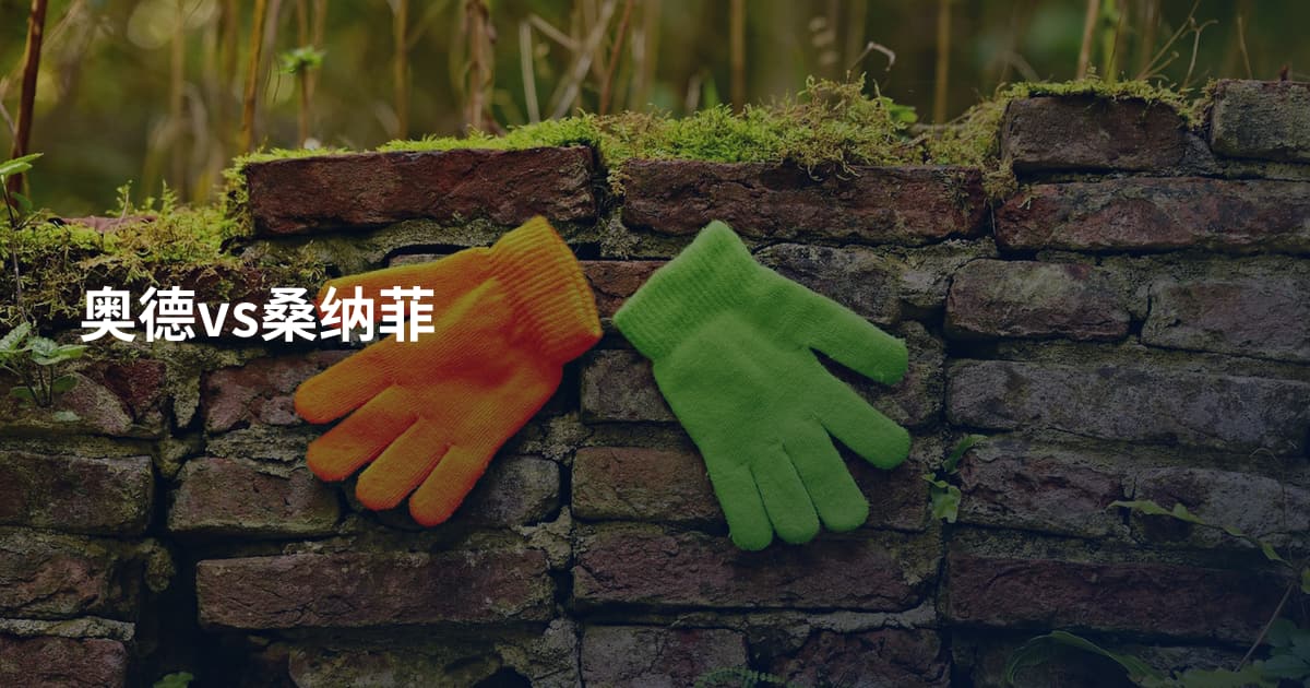奥德vs桑纳菲