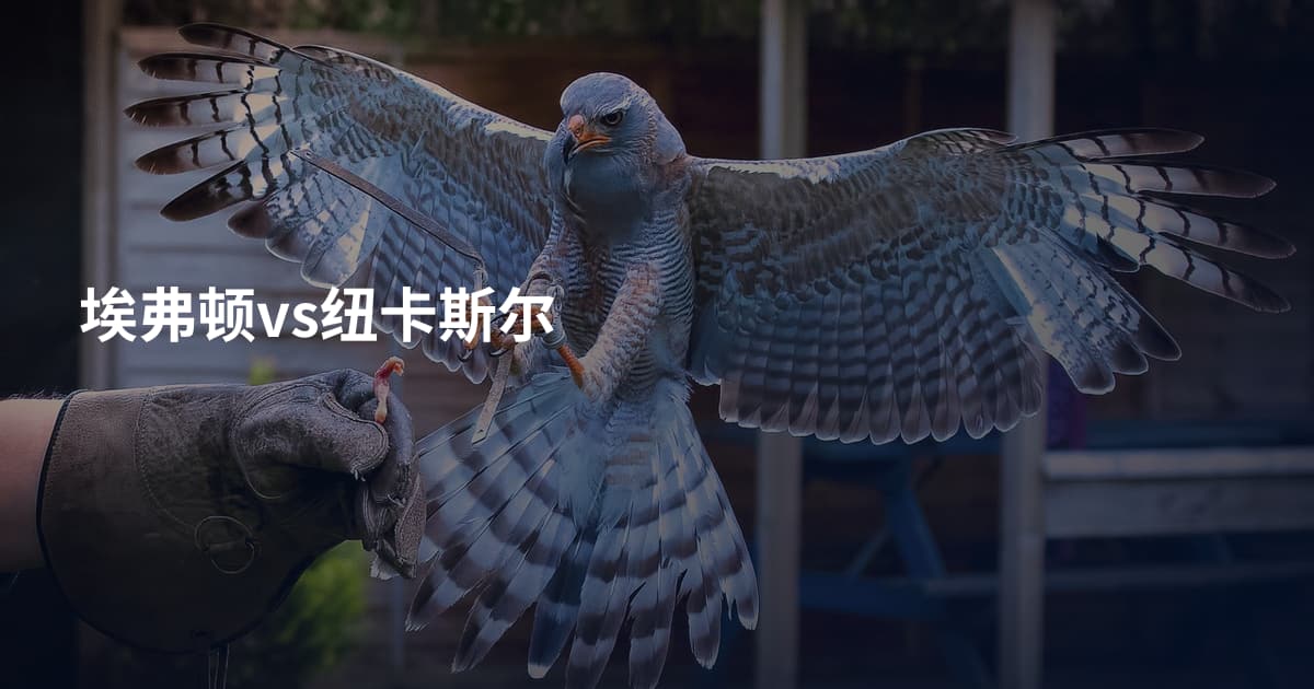埃弗顿vs纽卡斯尔