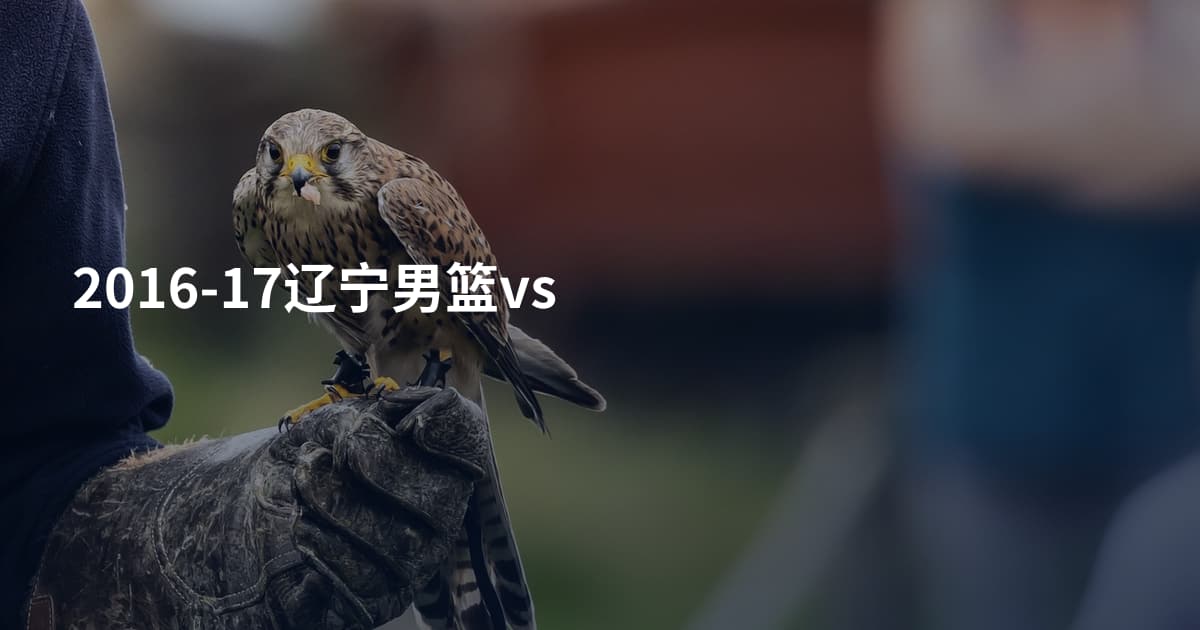 2016-17辽宁男篮vs