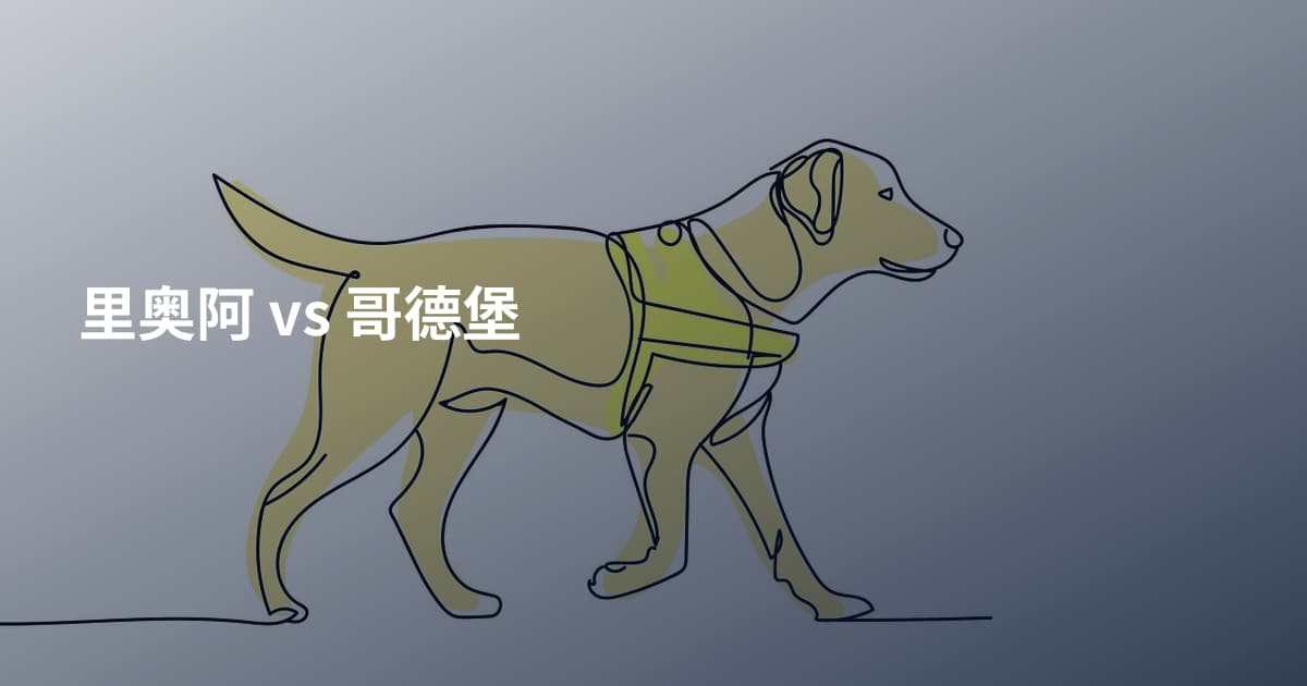 里奥阿 vs 哥德堡