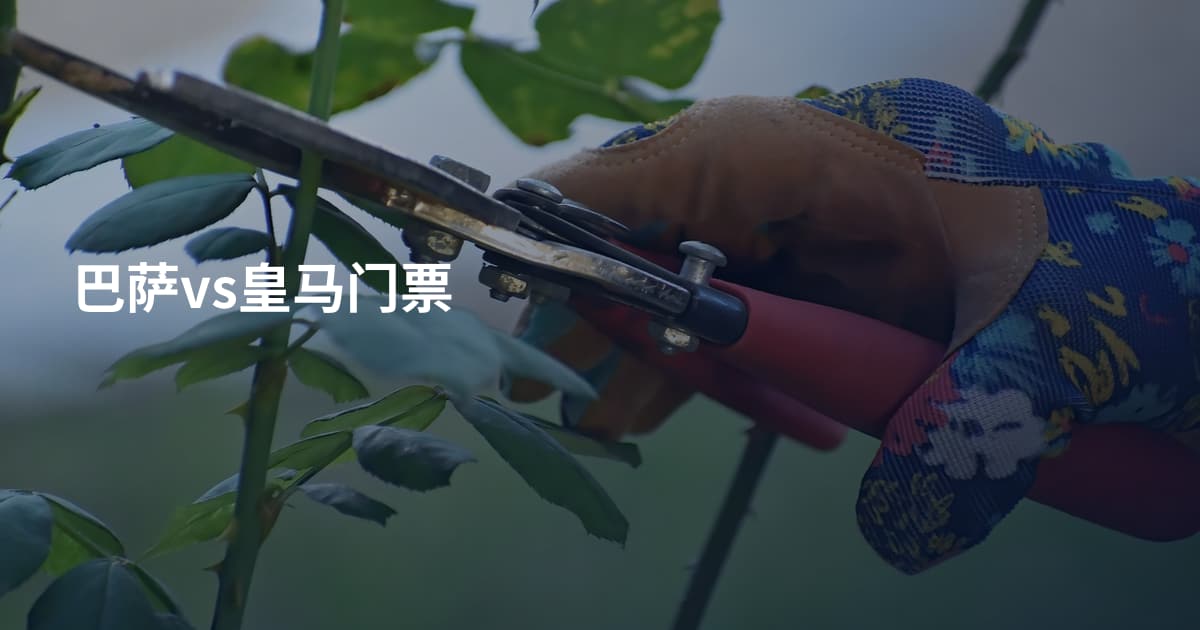 巴萨vs皇马门票