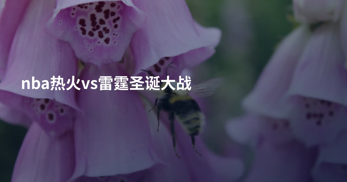 nba热火vs雷霆圣诞大战