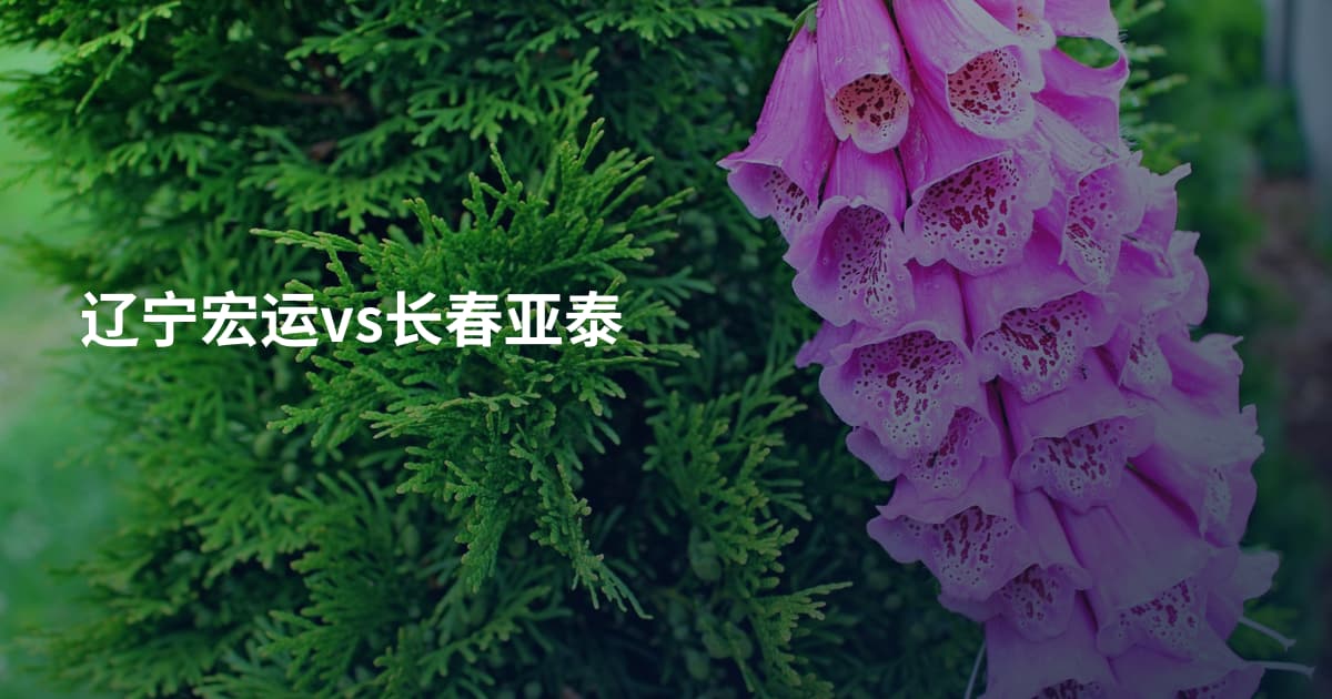 辽宁宏运vs长春亚泰