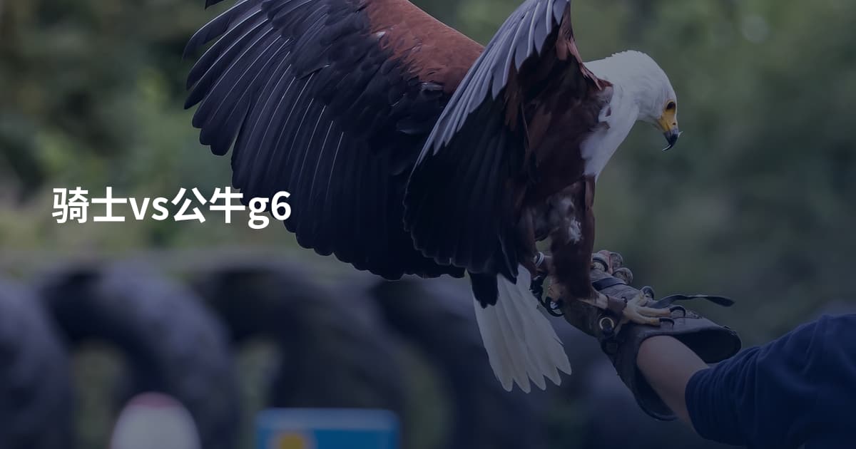 骑士vs公牛g6