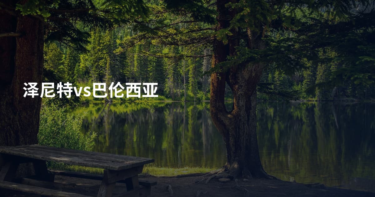 泽尼特vs巴伦西亚
