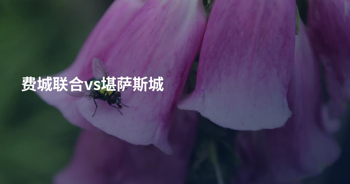 费城联合vs堪萨斯城