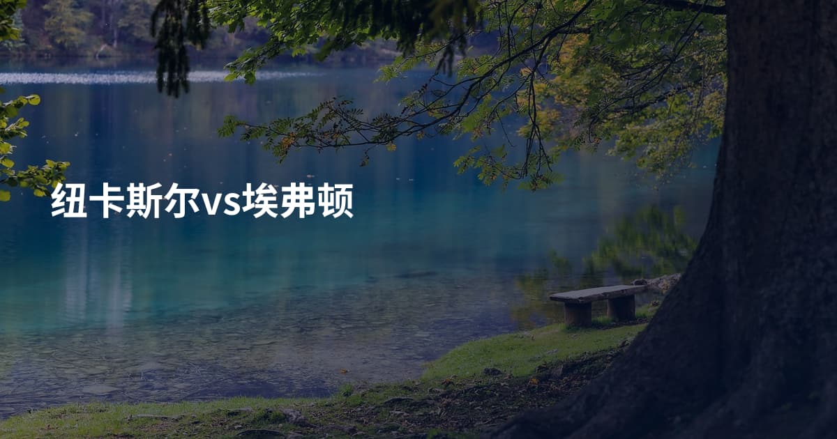 纽卡斯尔vs埃弗顿