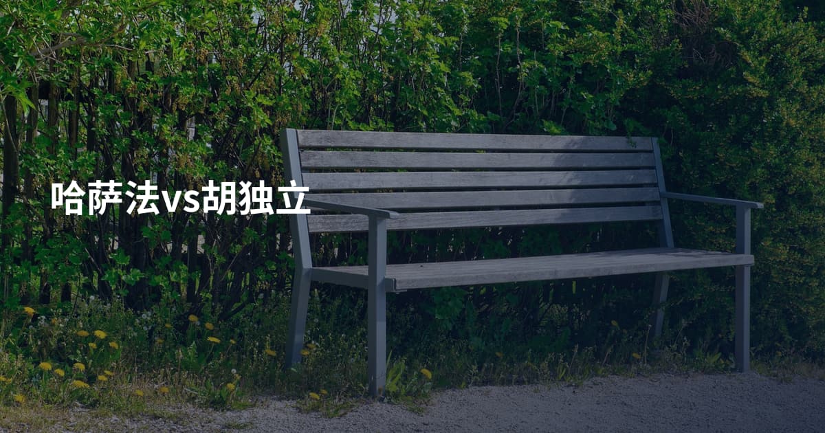 哈萨法vs胡独立
