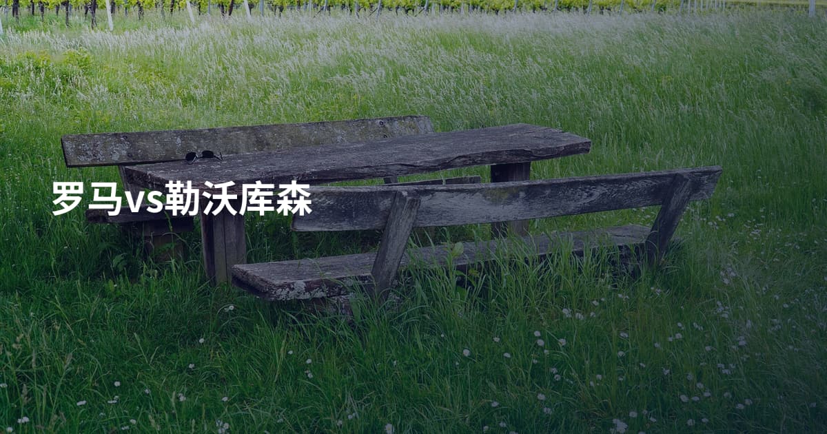 罗马vs勒沃库森
