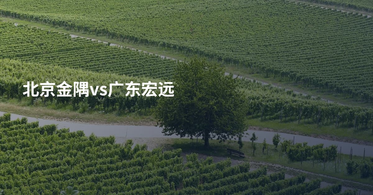 北京金隅vs广东宏远
