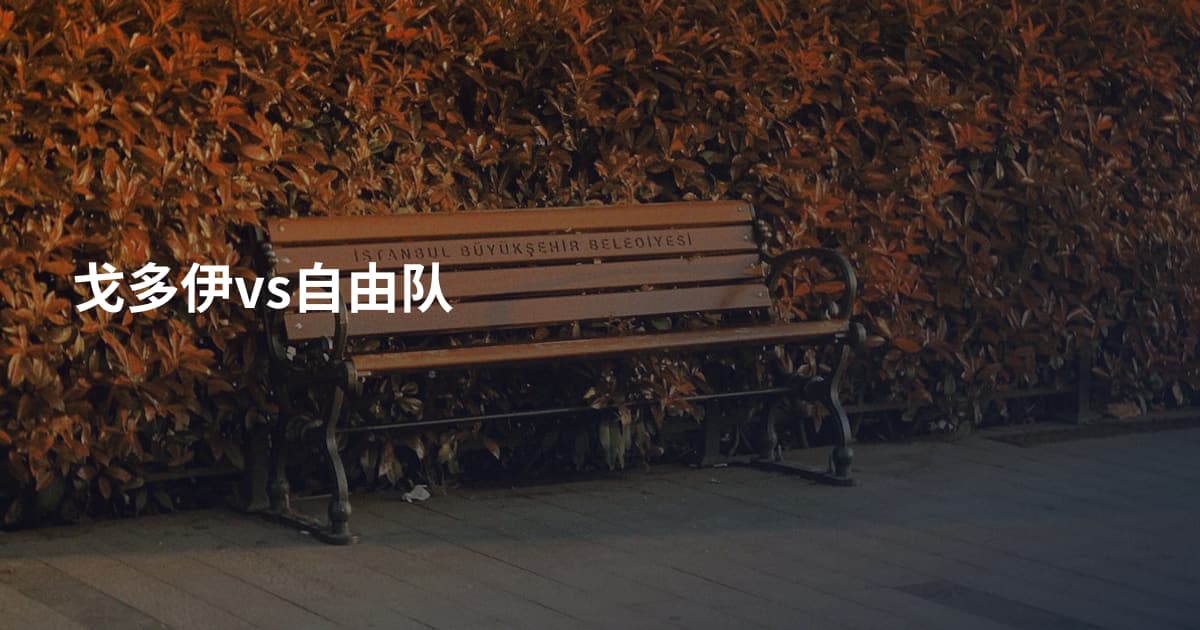 戈多伊vs自由队