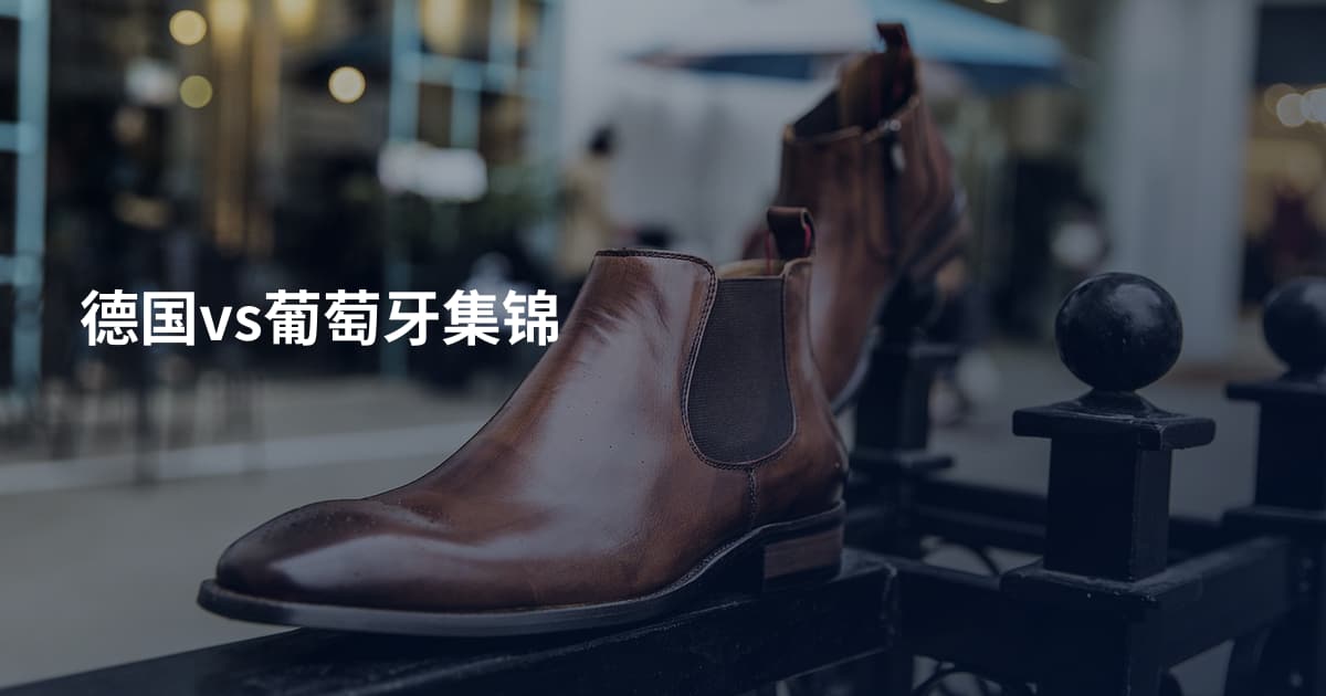 德国vs葡萄牙集锦
