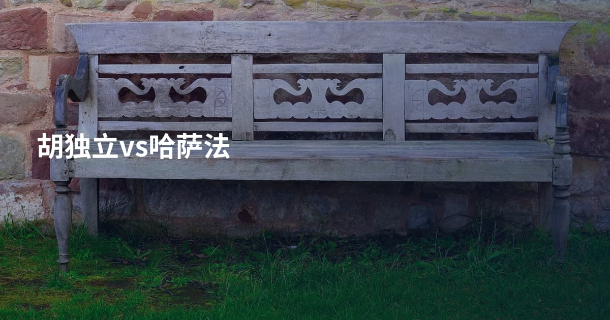 胡独立vs哈萨法