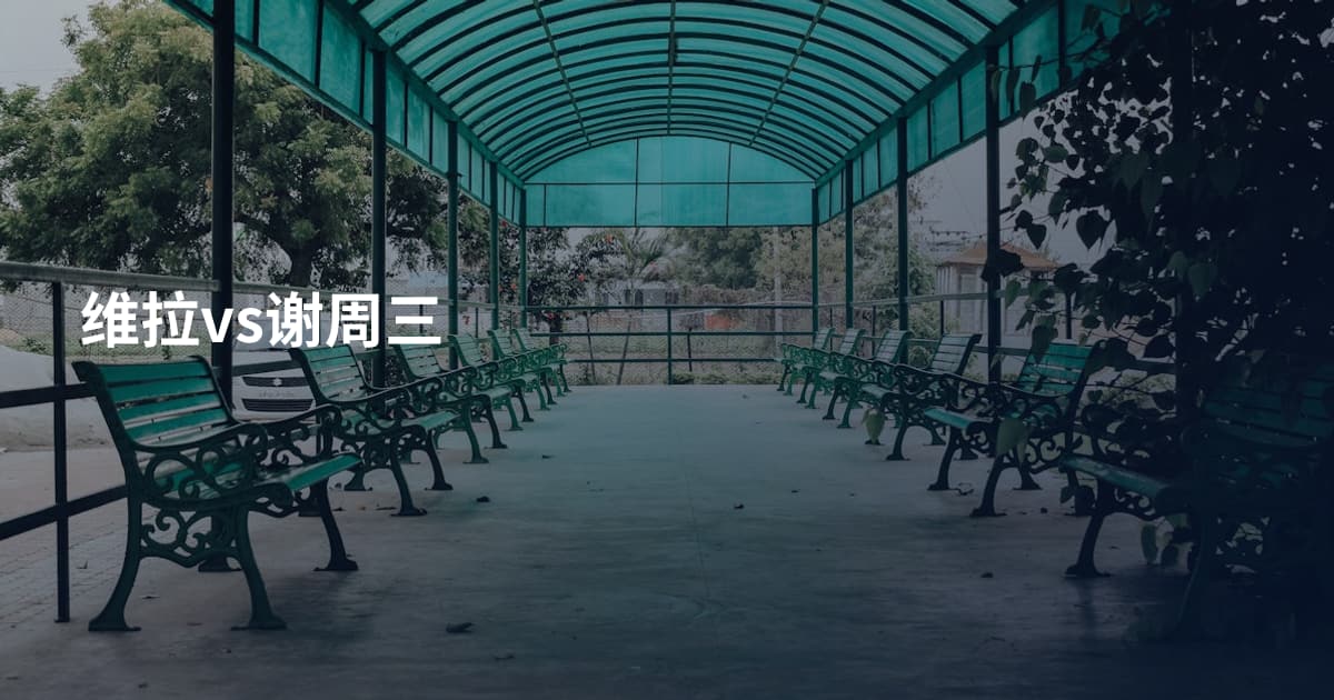维拉vs谢周三