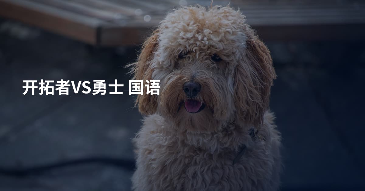 开拓者VS勇士 国语