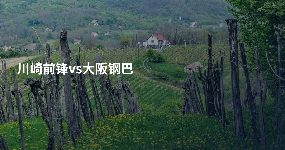 川崎前锋vs大阪钢巴