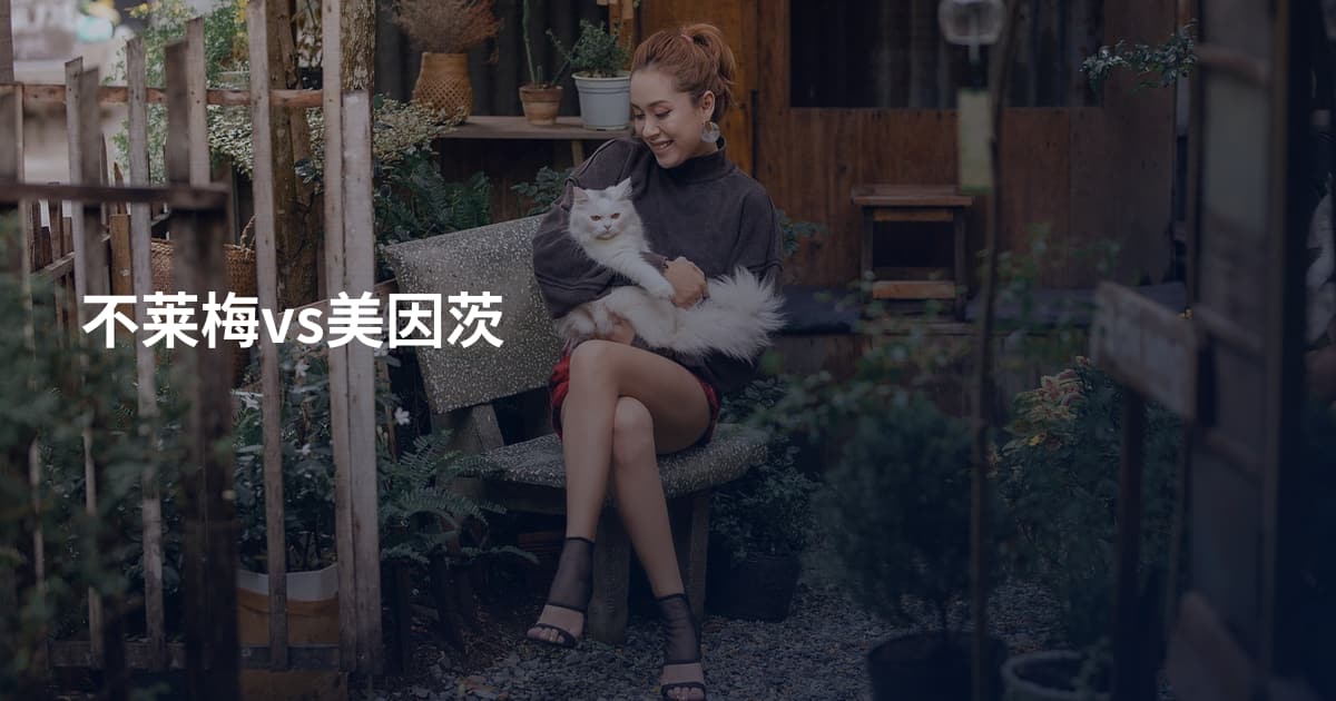 不莱梅vs美因茨