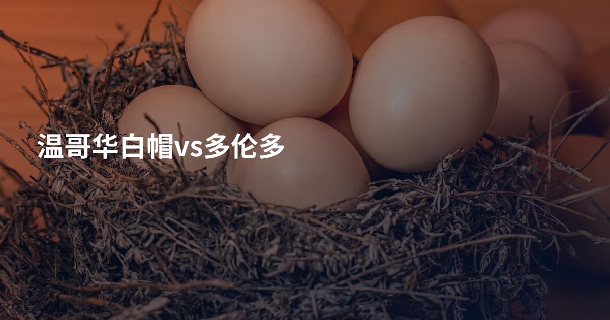 温哥华白帽vs多伦多