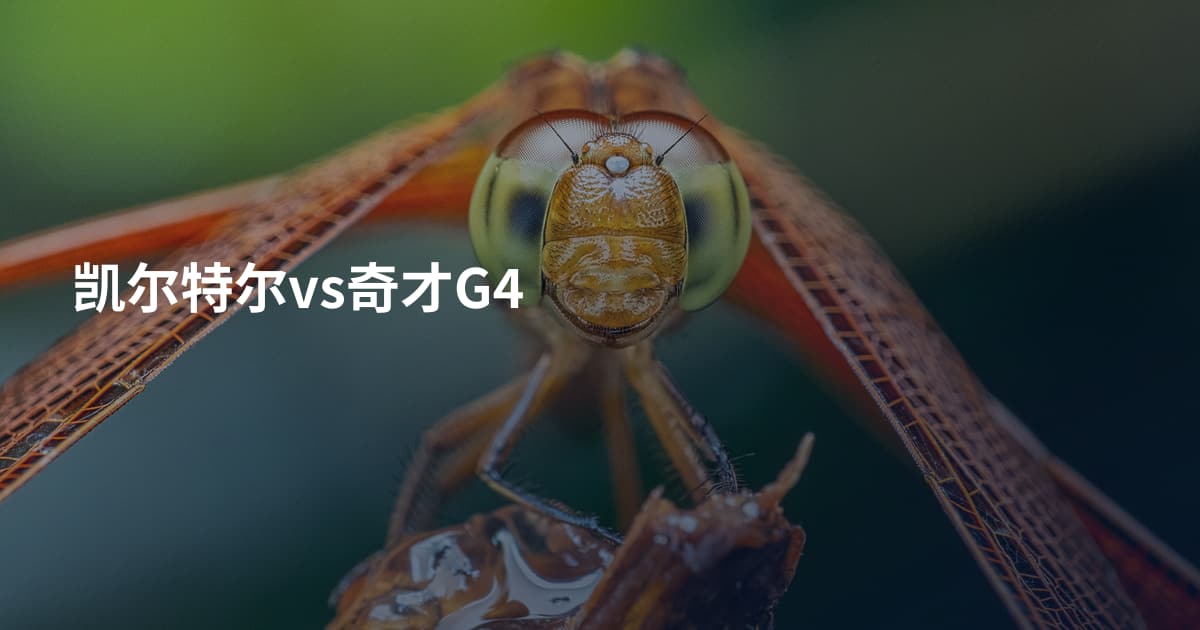 凯尔特尔vs奇才G4