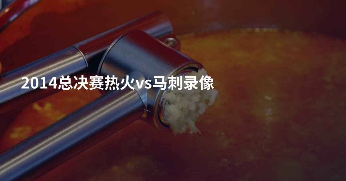 2014总决赛热火vs马刺录像
