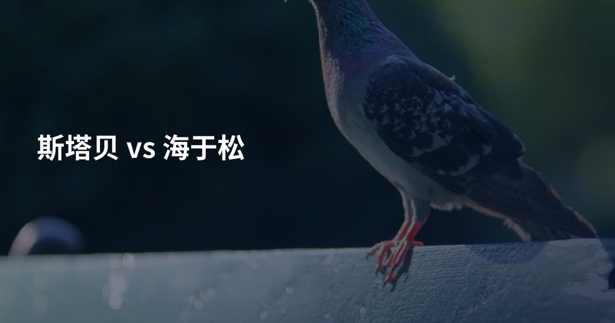 斯塔贝 vs 海于松