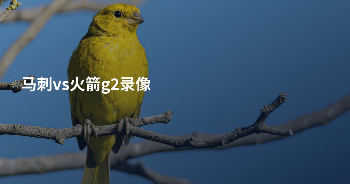 马刺vs火箭g2录像