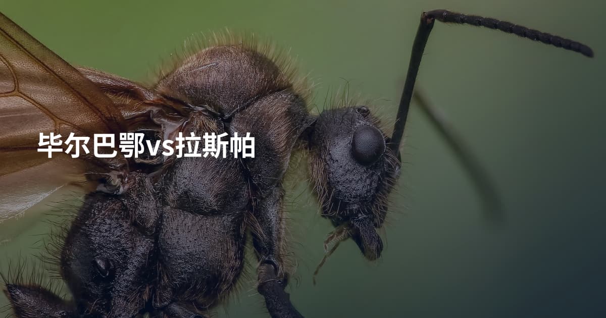 毕尔巴鄂vs拉斯帕