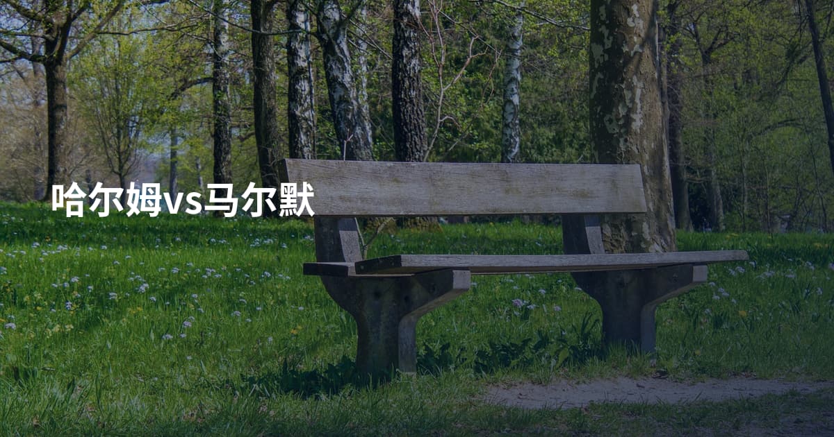 哈尔姆vs马尔默