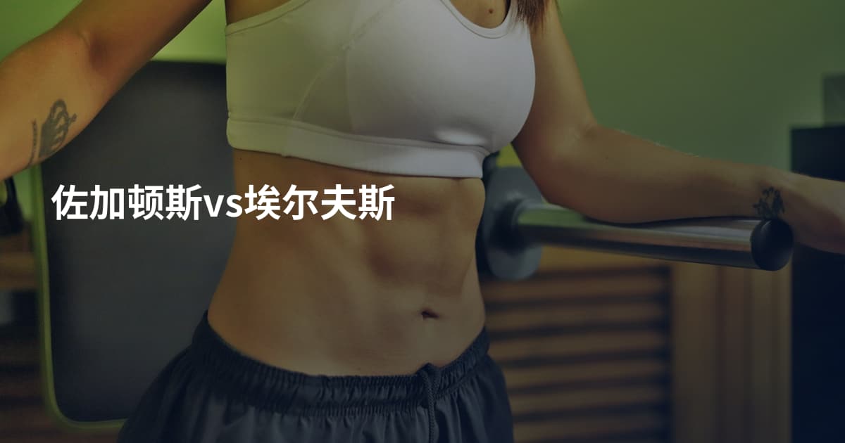佐加顿斯vs埃尔夫斯