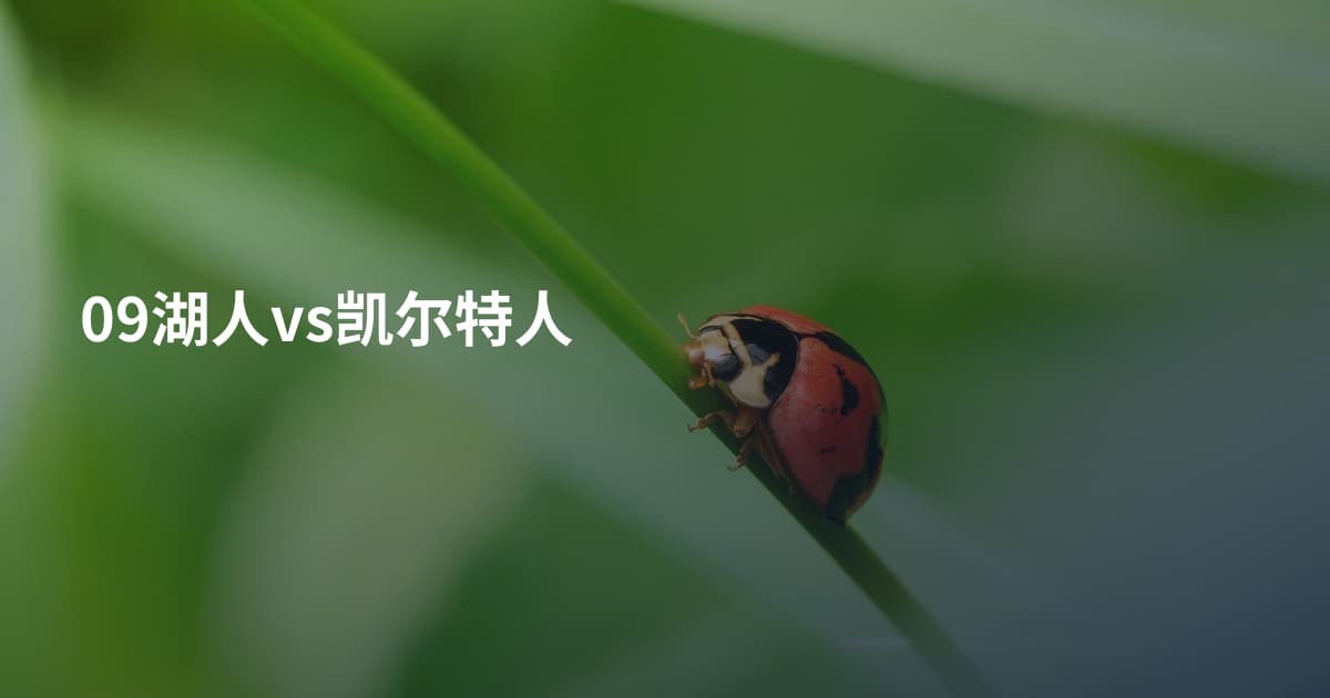 09湖人vs凯尔特人