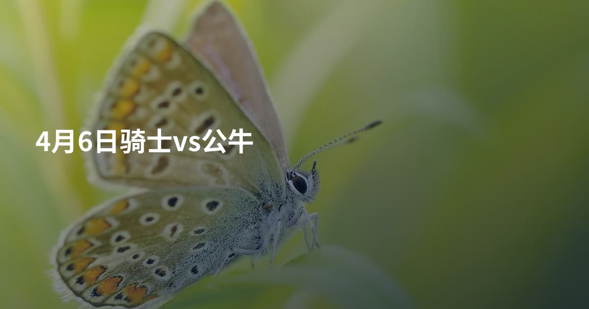 4月6日骑士vs公牛