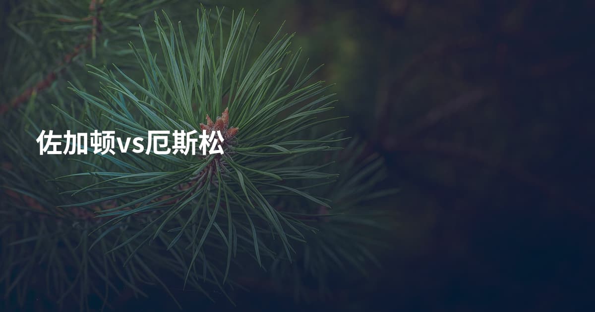 佐加顿vs厄斯松