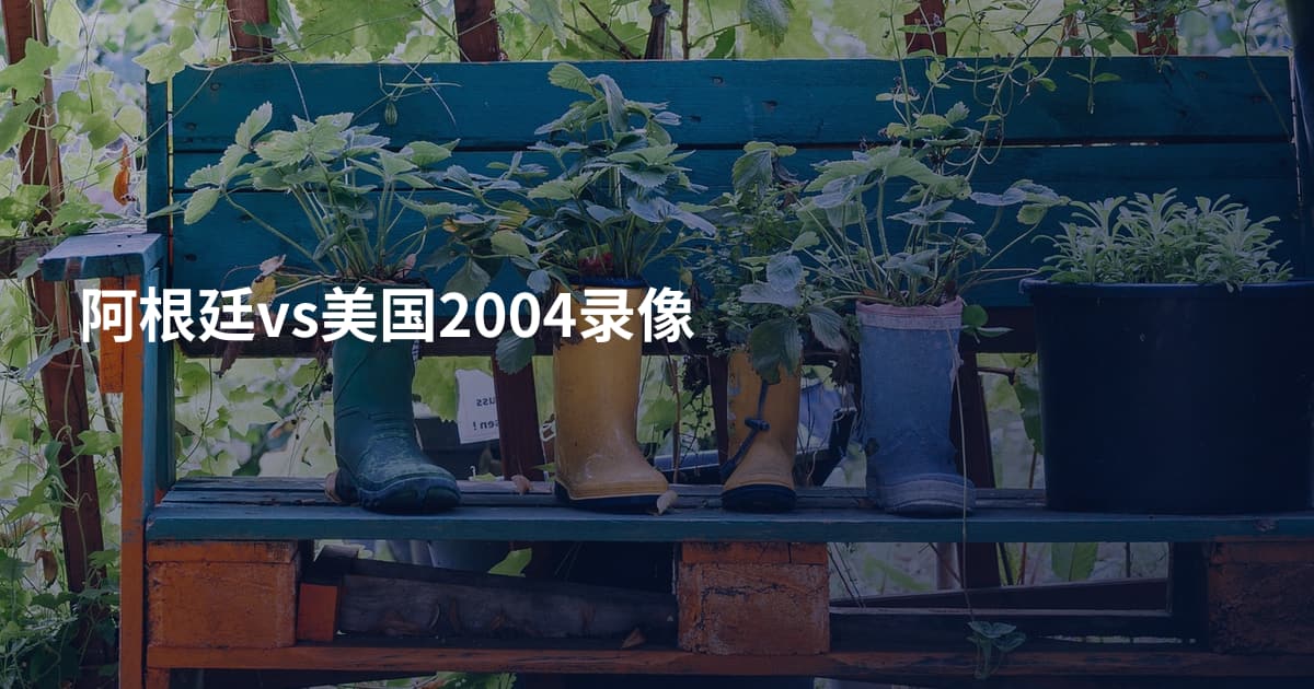 阿根廷vs美国2004录像