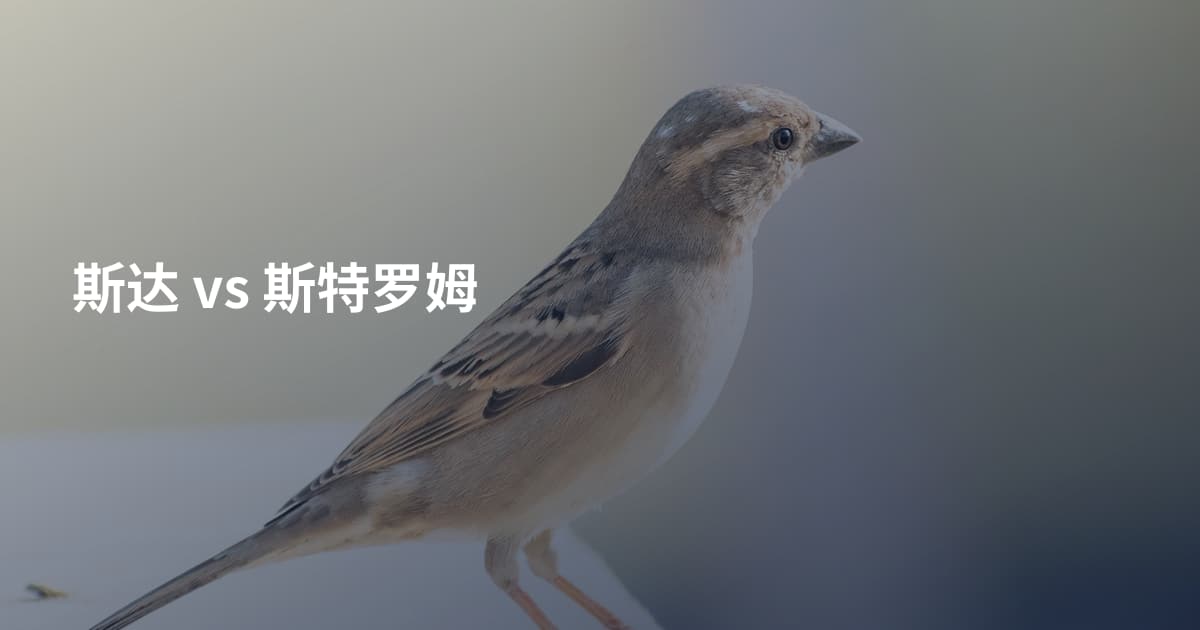 斯达 vs 斯特罗姆