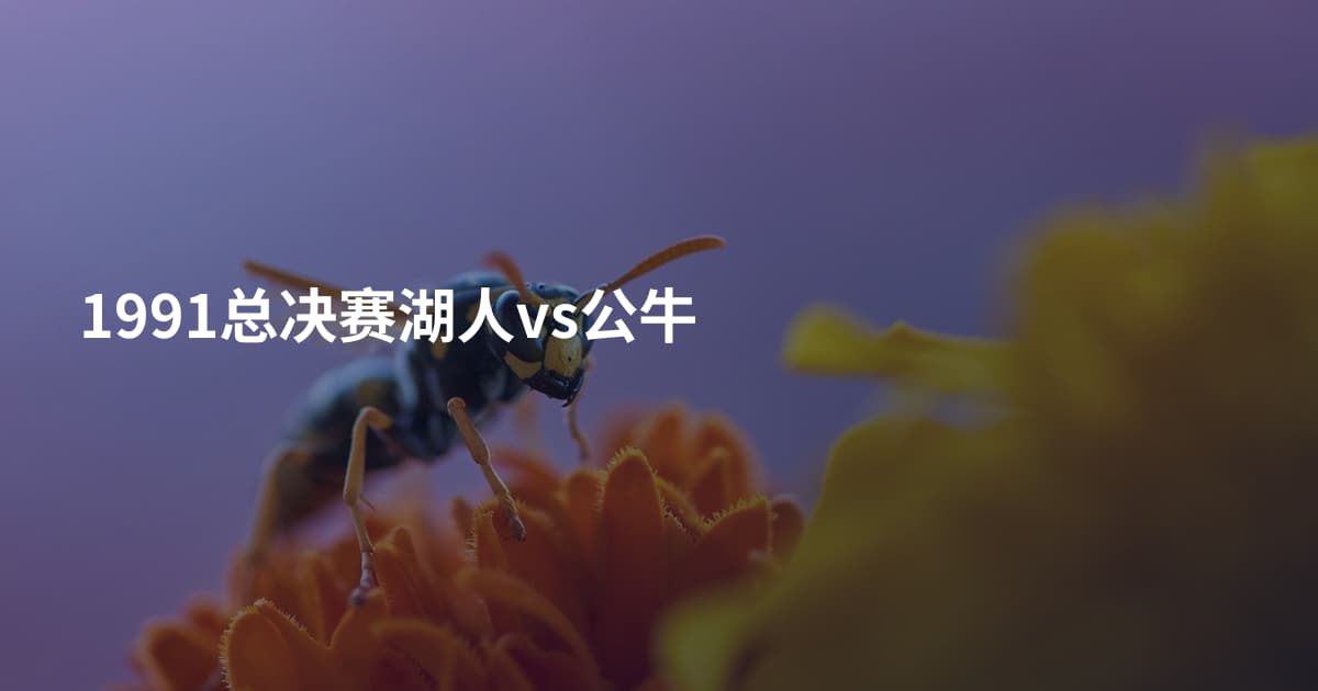1991总决赛湖人vs公牛