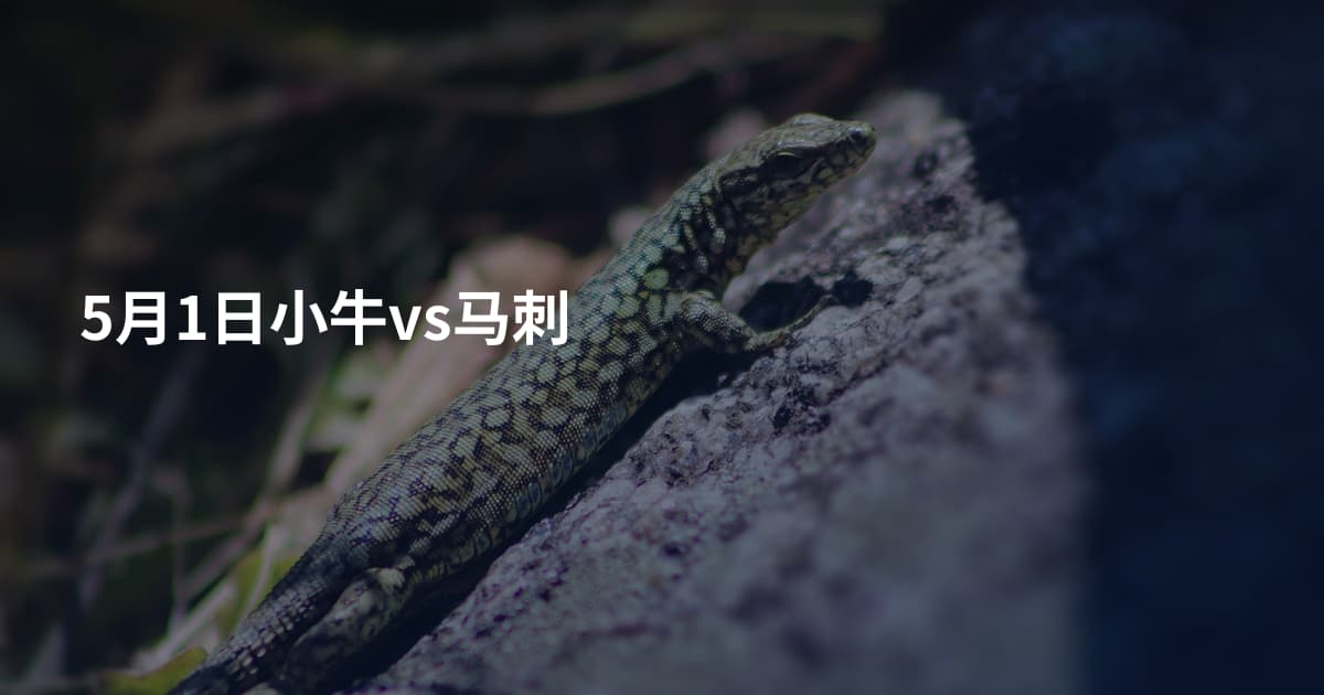 5月1日小牛vs马刺