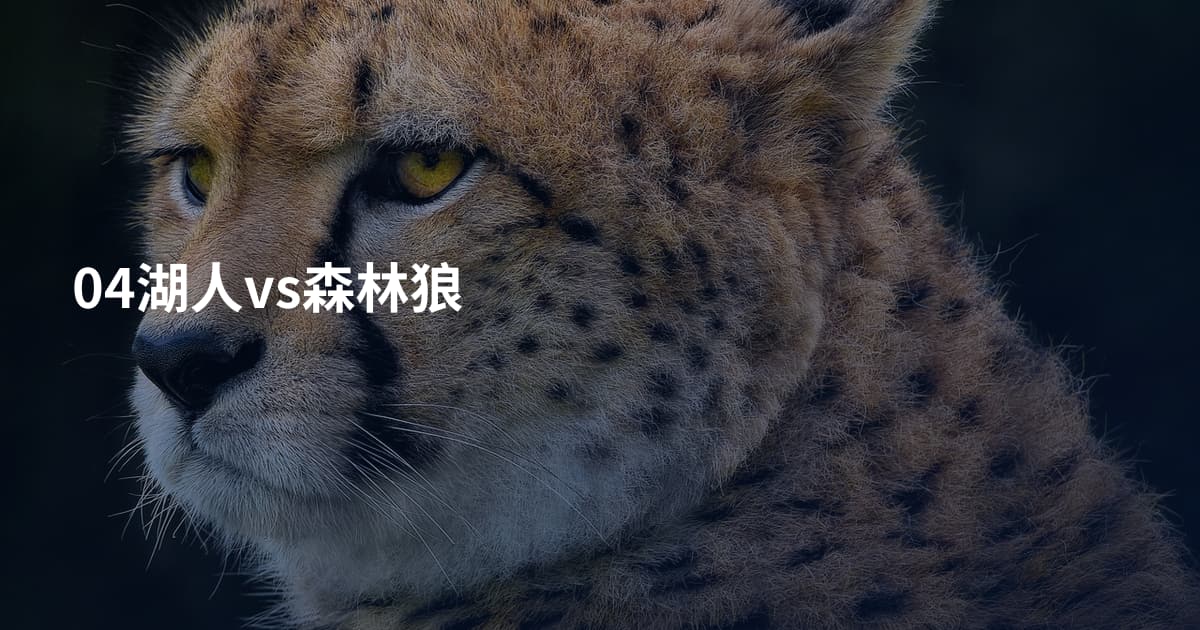 04湖人vs森林狼