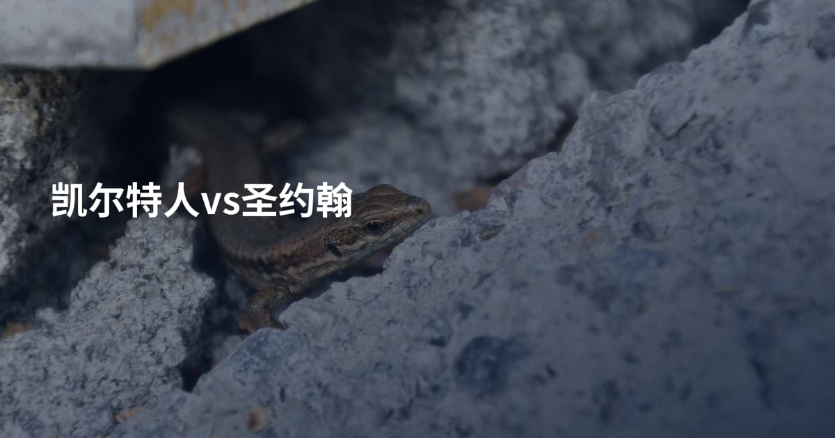 凯尔特人vs圣约翰