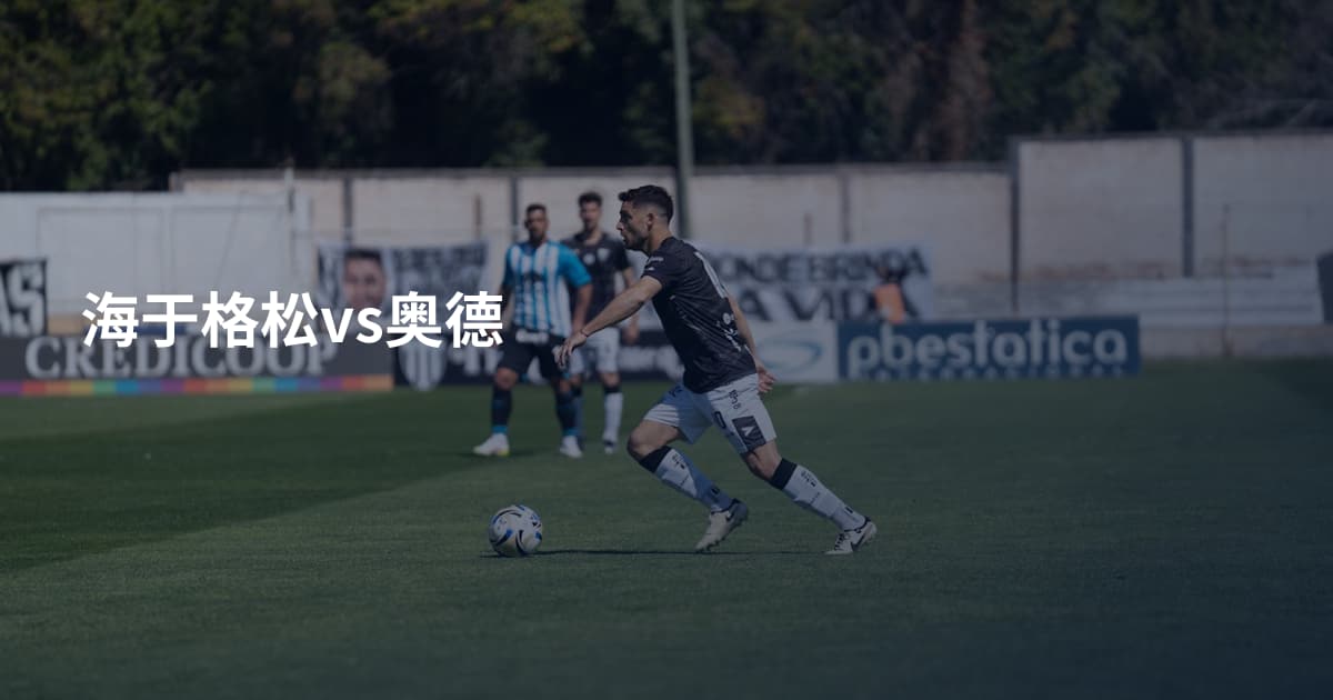 海于格松vs奥德