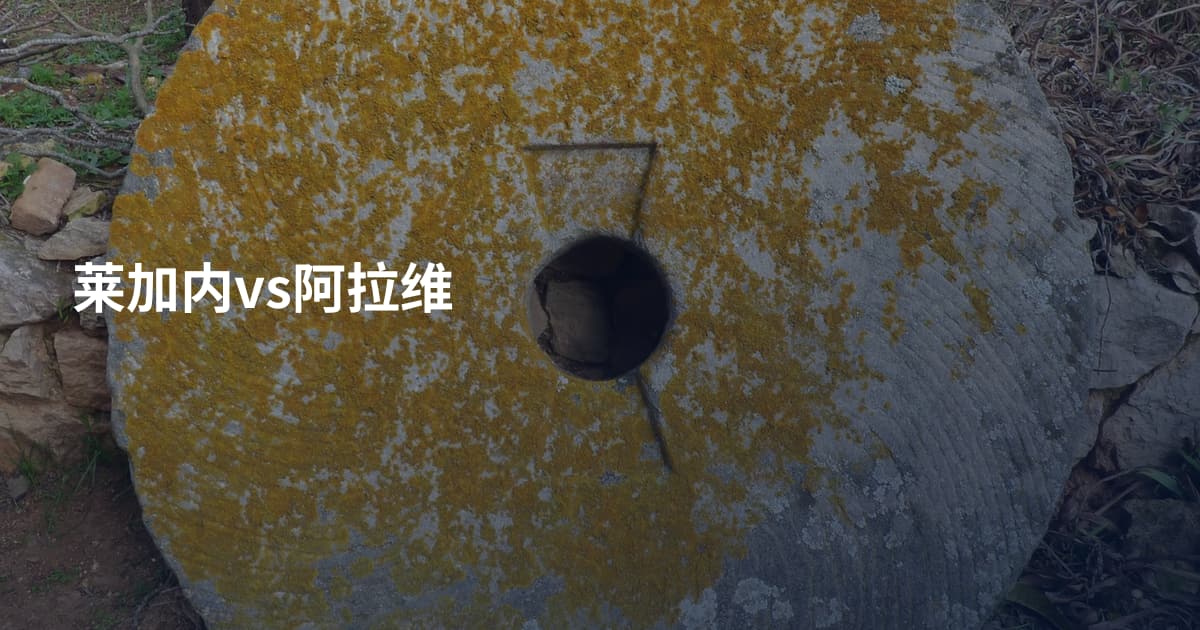 莱加内vs阿拉维