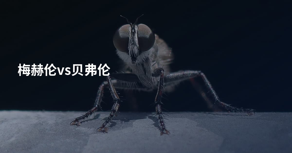梅赫伦vs贝弗伦