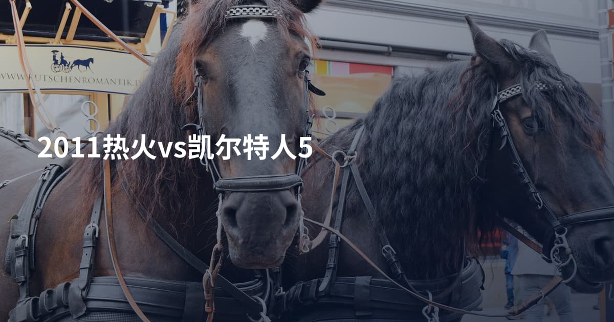 2011热火vs凯尔特人5