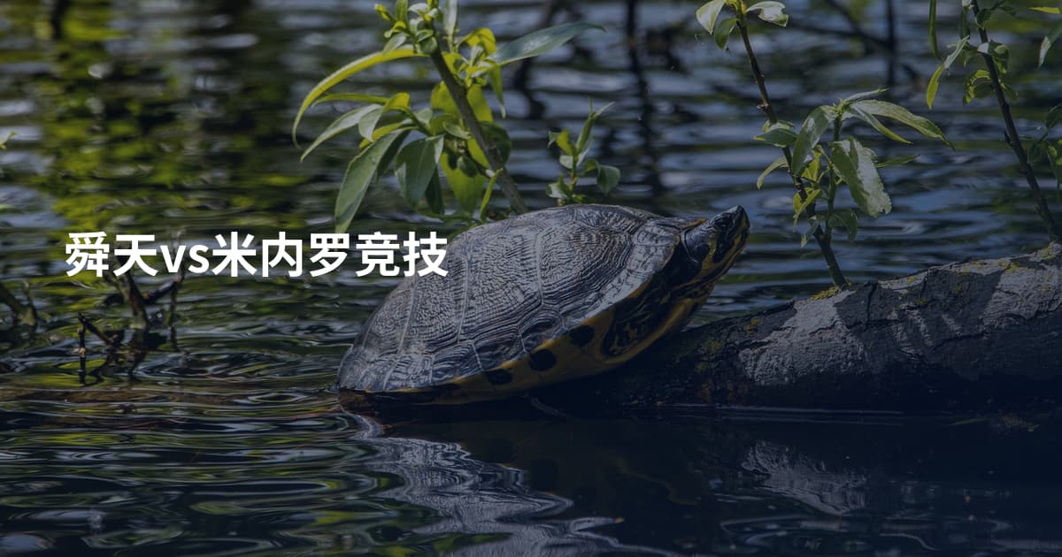 舜天vs米内罗竞技