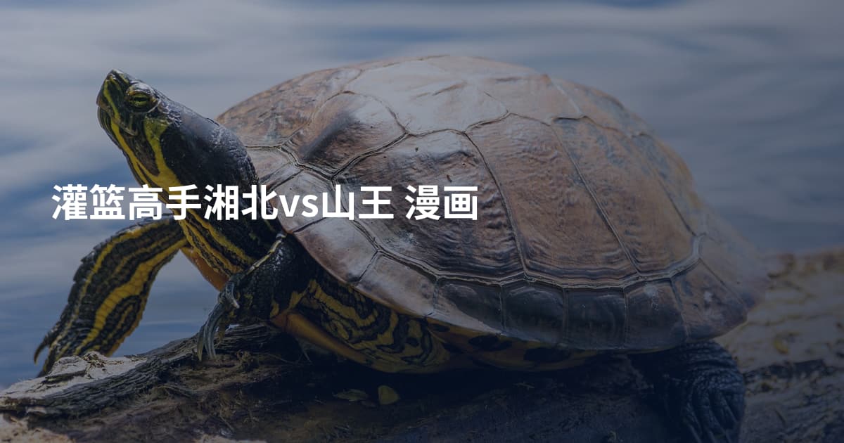 灌篮高手湘北vs山王 漫画