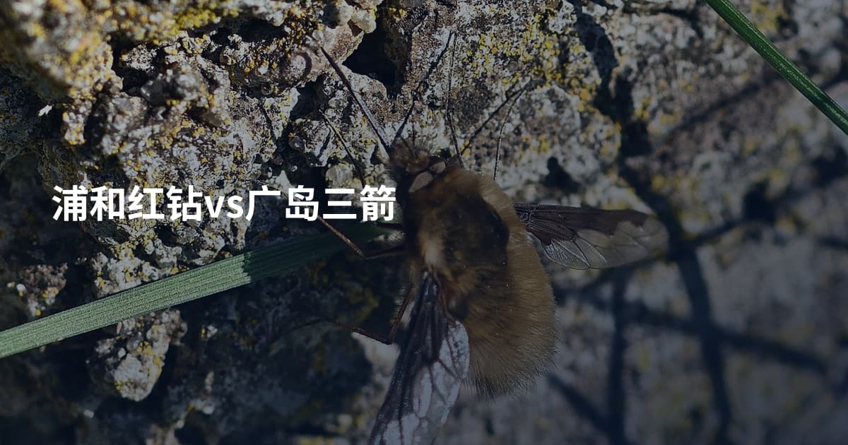 浦和红钻vs广岛三箭