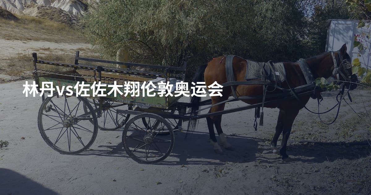 林丹vs佐佐木翔伦敦奥运会