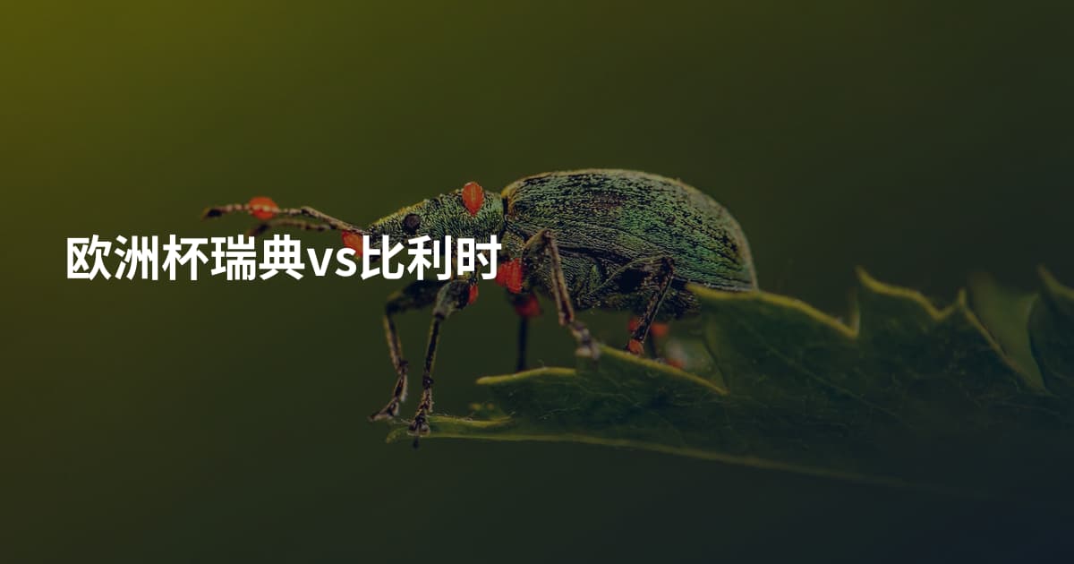 欧洲杯瑞典vs比利时
