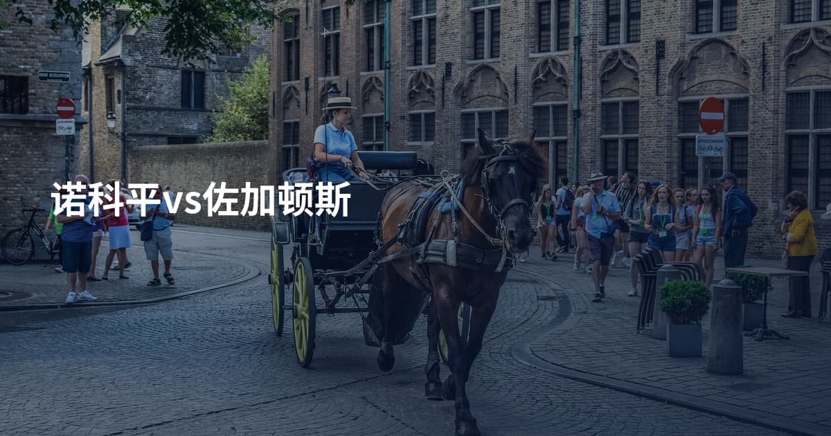 诺科平vs佐加顿斯