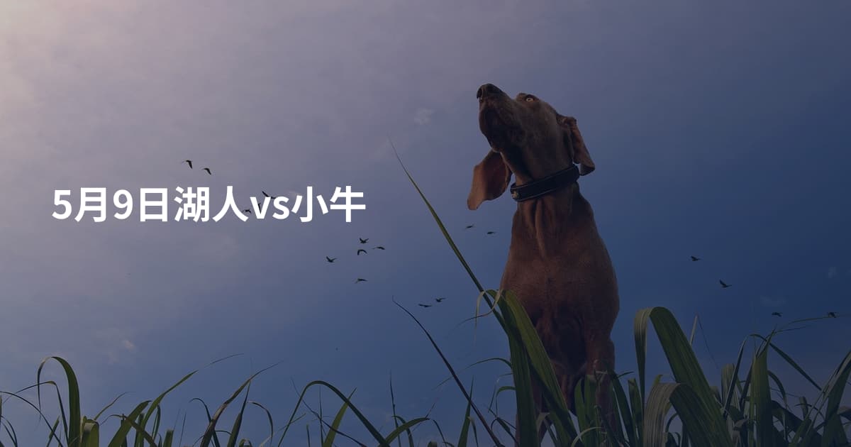 5月9日湖人vs小牛