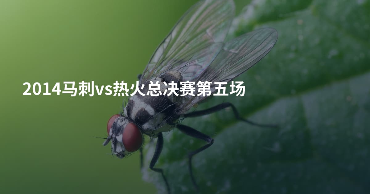 2014马刺vs热火总决赛第五场